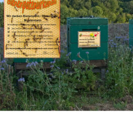Bienenpatenschaft